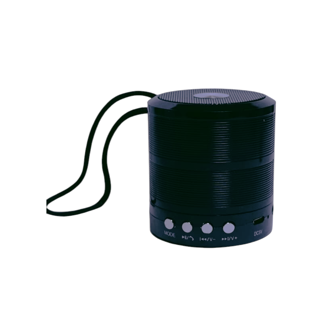 Parlante Mini Speaker WS 887